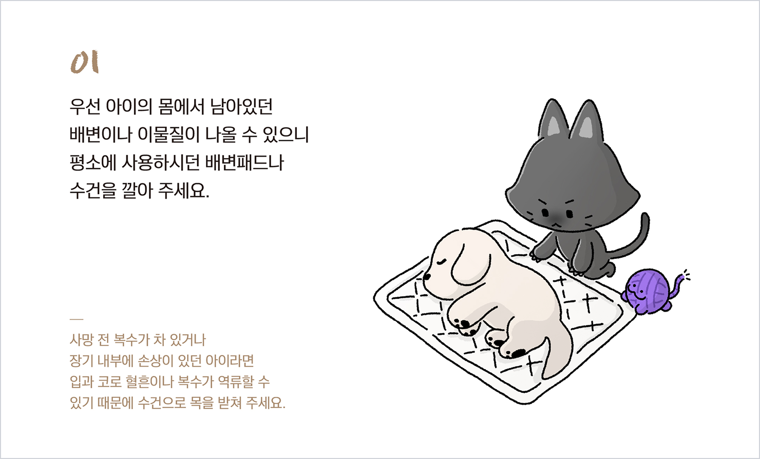 장례 전